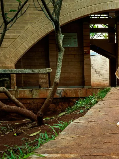 A different angle of the architecture shoot, with the tree branches adding a natural, organic frame to the shot.