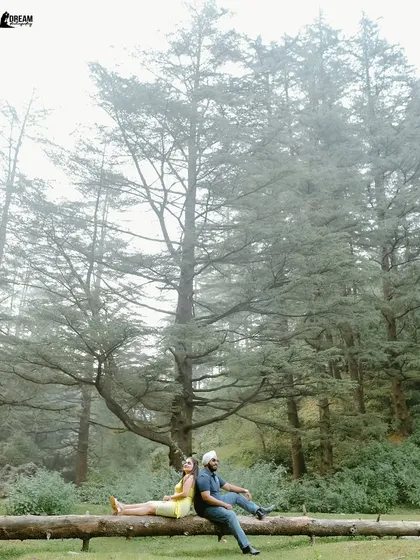 A peaceful moment in a misty Mussoorie forest. The couple sitting back-to-back on a log creates a symmetrical and visually pleasing composition.