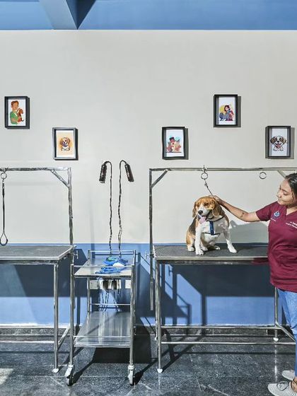 Jois Design House - Residential Interior Design & Build (Turnkey) Commercial & Other Projects photo 3