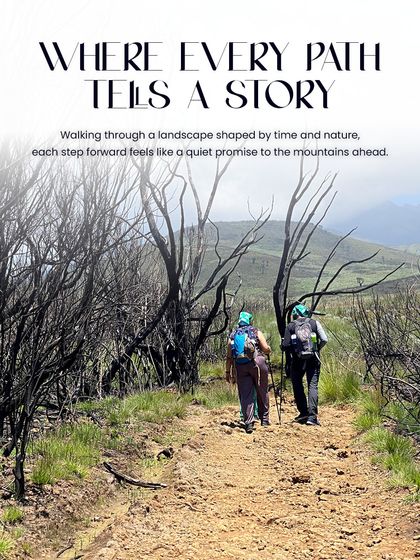 International Expeditions: The Seven Summits & Beyond photo 11