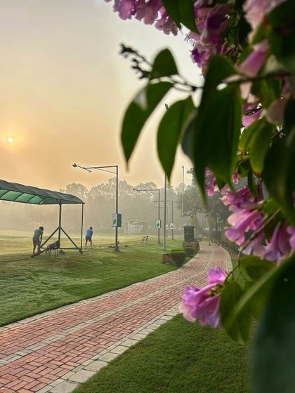 The Hamoni Vibe: More Than a Game photo 26