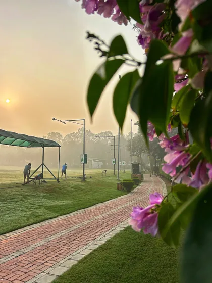 The brick pathway is lined with beautiful purple flowers, adding a touch of color to the morning walk to the range.