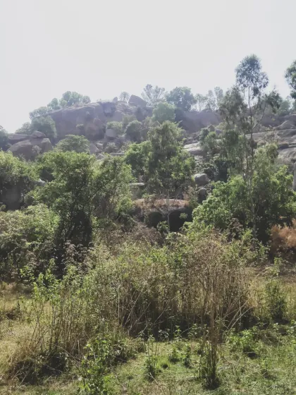 Lalith - Wildlife & Nature Photography My Journey into the Wild photo 5