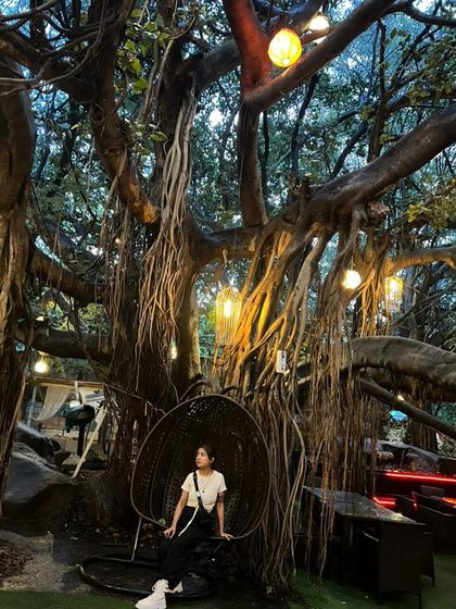 Rash - Psytrance DJ Underground Raves & Open-Air Sets photo 6