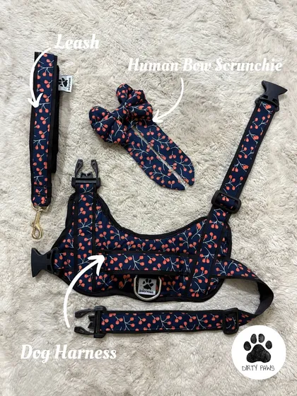 My complete cherry print twinning set. This flat lay shows the adjustable dog harness, a matching sturdy leash, and a cute bow scrunchie for you. It's one of my most popular sets for pet parents who love to coordinate.