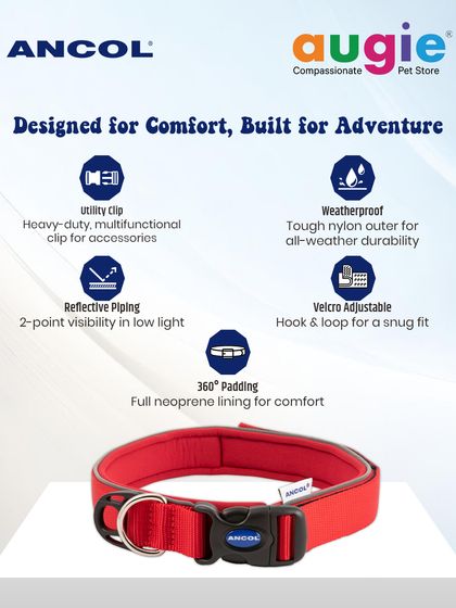 Augie Pets - Pet Supplies Adventure-Ready Gear for Every Outing photo 8