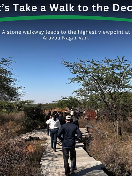 A stone walkway leads to the highest viewpoint at Aravali Nagar Van, a 180-acre forest we are bringing back from a waste-dumping site. This place is worth the wait.