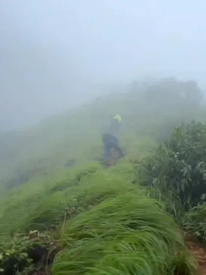 A trekker walking through the tall, wet grass on a misty day during the Kurinjal trek.