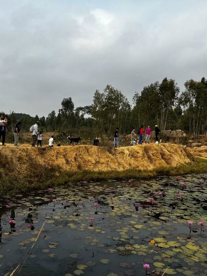 The Earth School - Nature & Community Engagement Programs Community in Action: Giving Back & Celebrating Together photo 6