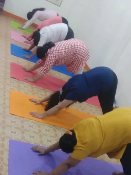 Students in a group class holding Adho Mukha Svanasana (Downward-Facing Dog). This foundational pose is excellent for stretching the entire body, building upper body strength, and energizing the mind.