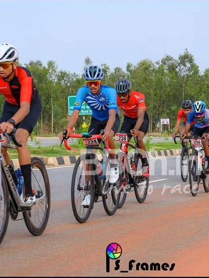 The elite peloton, a colorful and dynamic sight, races down the highway.