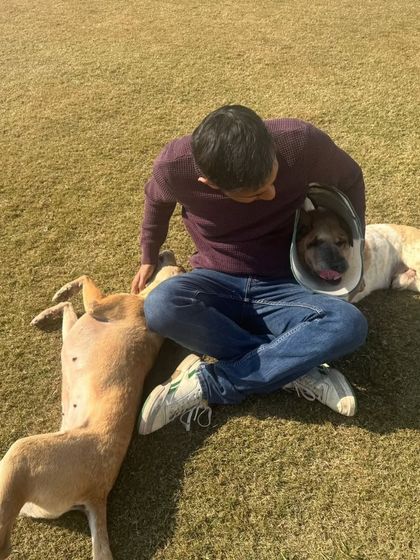 Even dogs who need a little extra care, like this one with a cone, get all the love and comfort they need to feel at ease.