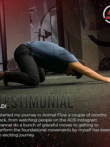 Academy of Strength - Skill-Based Fitness Workshops Master Your Movement: Animal Flow photo 37