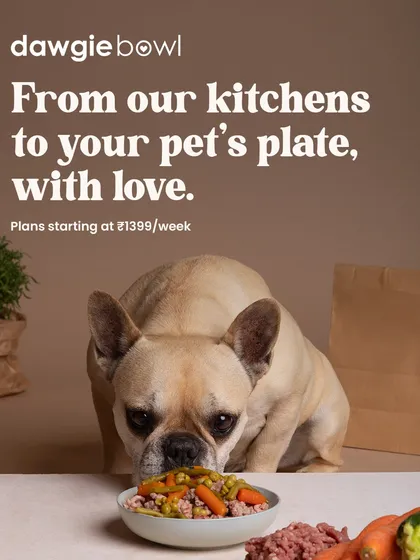 From my kitchens to your pet's plate, every meal is sent with love. I oversee the crafting of each meal to ensure it's made with care and premium ingredients, just like this bowl for an adorable Frenchie.