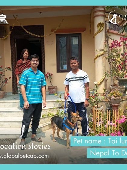 Global Pet Cab - Domestic Pet Relocation Train Travel: First-Class Coupe Journeys photo 16