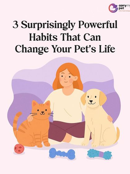 CarryMyPet - Pet Travel & Parenting Consultation Pet Parenting & Wellness photo 16