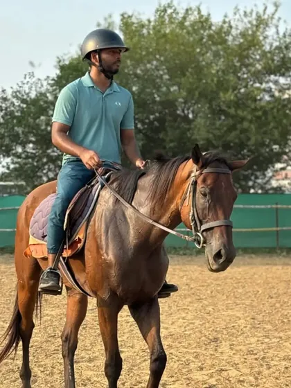 A portrait of a rider and his horse, both looking calm and focused during a lesson.