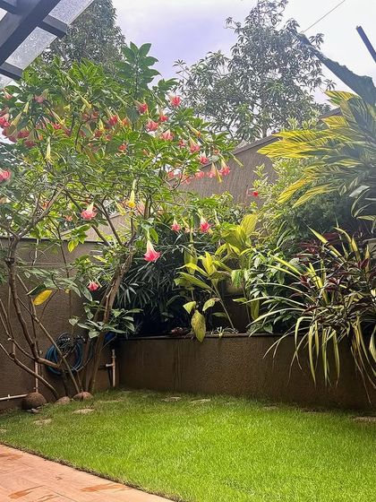 This is what garden goals look like. This beautiful backyard is the result of years of love and dedication from a wonderful family we work with. Seeing a garden mature and flourish like this, with a lush lawn and thriving plants, is the biggest reward for us.