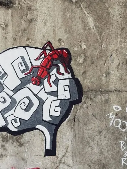 A clever piece of graffiti showing a red ant on top of a stylized brain. This work by Moodgrass is the first part of a two-part statement piece found at Reay Road.