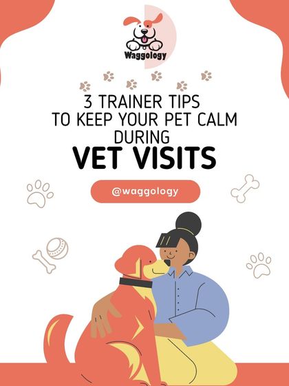 This is the cover for my series of trainer tips on how to keep your pet calm during vet visits. With a little preparation, these trips don't have to be scary.
