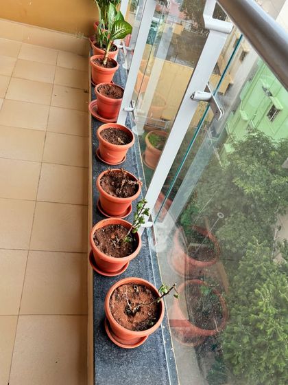 The 'before' shows a line of empty, unused terracotta pots. Instead of discarding them, we decided to give them a complete makeover to fit a new design concept.