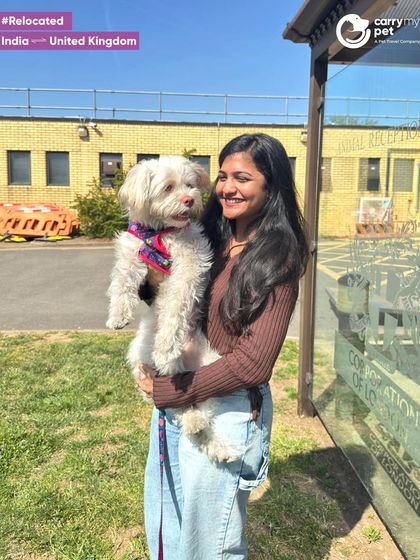 A picture-perfect moment. Lusy is held by her owner in the UK after a successful international relocation from Hyderabad.