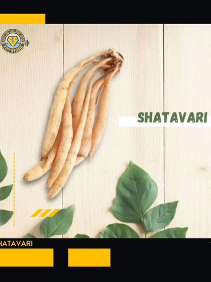 V Saveen - Personal Training & Body Transformation Functional Medicine: Healing from the Inside Out photo 6