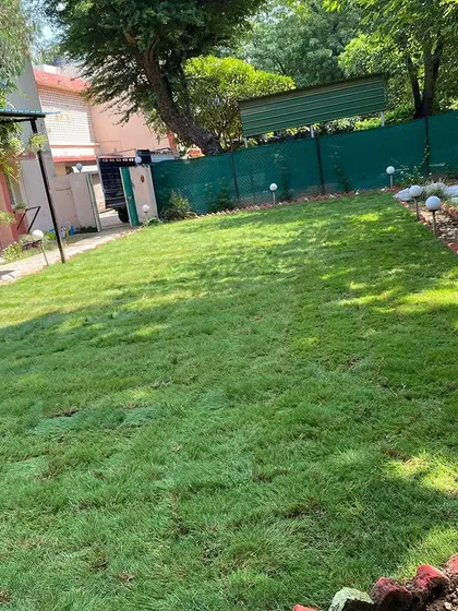 A completed lawn installation for a home, complete with garden lights and a brick border. My grass complements any landscape design.