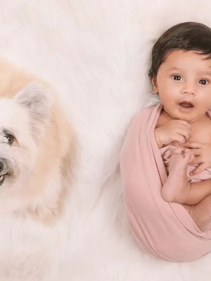 An adorable portrait of a newborn and their furry sibling looking up at the camera. The contrast between the awake dog and the swaddled baby is just too cute.