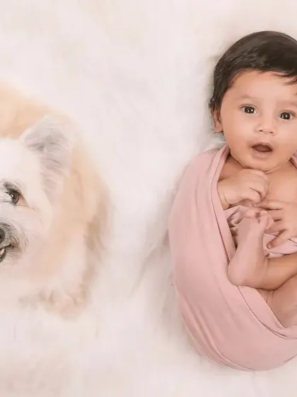 A duplicate of the shot with the awake baby and their dog, showing another great take from this session.