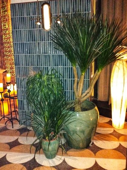 Hospitality & Commercial Spaces photo 5