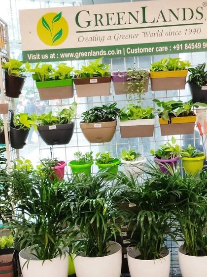 Our Community photo 12