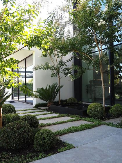 A full view of a modern entryway garden. The combination of white walls, dark window frames, and lush greenery creates a high-contrast, visually striking landscape.