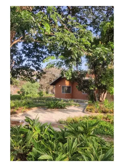 Another view of the residential landscape, where the architecture is nestled within the lush, established garden. The building occupies the space below the canopy, respecting the presence of the mature trees.