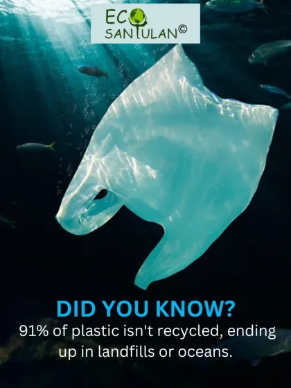 Eco Santulan - Waste Management Solutions Ditch Plastic: Eco-Friendly Products photo 15