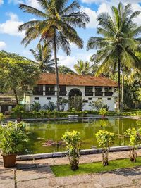 Ayurvedic Wellness & Rejuvenation Retreats