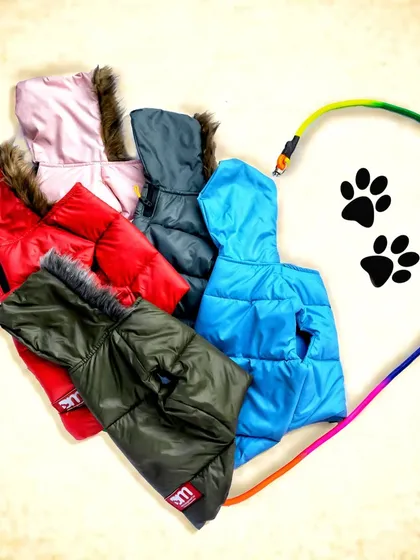 A creative flatlay of colorful puffer jackets for dogs, arranged in the shape of a heart. This playful and loving composition is perfect for a pet apparel brand.
