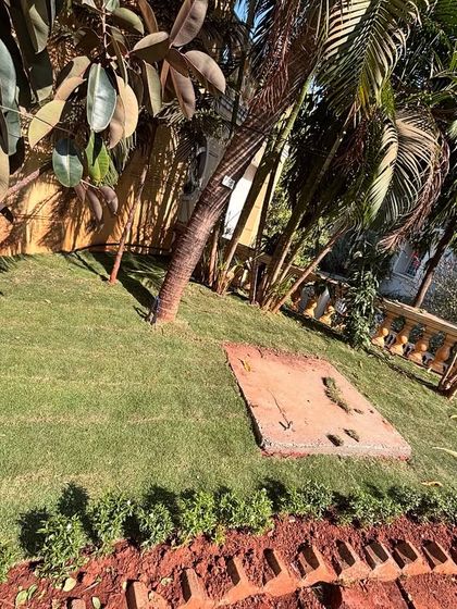 A section of a newly laid Selection 1 lawn next to established trees and shrubs. Proper soil preparation ensures the turf takes root and thrives.