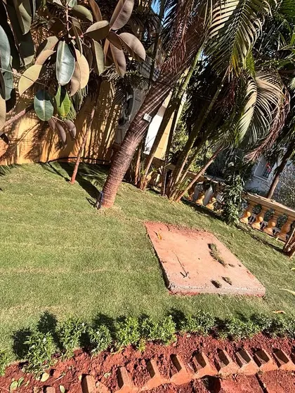 A section of a newly laid Selection 1 lawn next to established trees and shrubs. Proper soil preparation ensures the turf takes root and thrives.