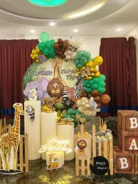 Birthday Party Decoration