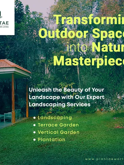 This image represents our comprehensive approach to transforming outdoor spaces. We offer full-service landscaping for large properties, including lawn plantation, terrace gardens, and vertical gardens, to create natural masterpieces.