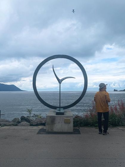 This artwork of a bird by the lake in Montreux sparked so many thoughts about lightness, flight, and our connection with nature. One single image can hold so many stories.