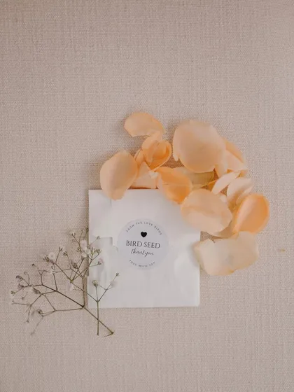A thoughtful and eco-friendly guest favor: packets of birdseed for guests to shower the couple with, so the birds could join the celebration too.