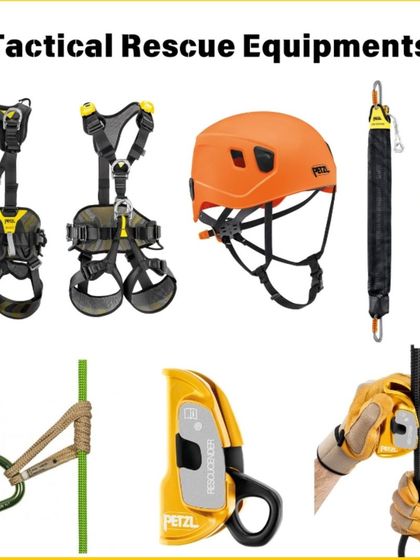 Charlie's Animal Rescue Centre - Animal Rescue & Adoption Our Voice: Advocacy & Awareness photo 6