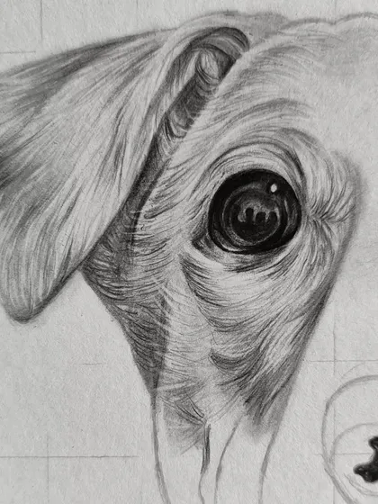 A work-in-progress of the dog's eye. You can see the grid lines I use for placement and the initial layers of pencil shading.
