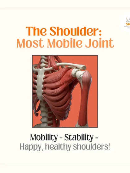 The shoulder is the most mobile joint in the body. We focus on exercises that build both mobility and stability for happy, healthy shoulders.