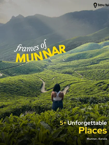 The endless green carpets of Munnar's tea plantations. We take you to the most scenic spots where you can just stand and soak in the incredible beauty.