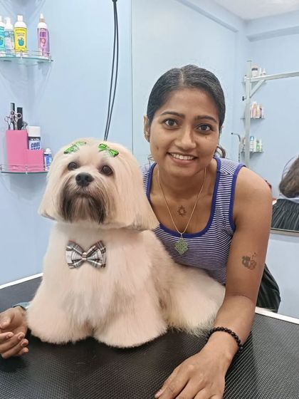 Mamppi Deb - Pet Grooming & Styling Styling for Fluffy Breeds: Shih Tzu, Lhasa & Maltese photo 24