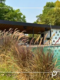 Sustainable Landscape & Garden Design