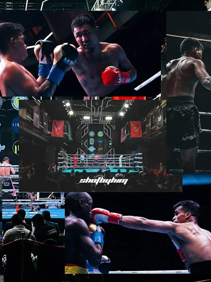 I bring you the full view of the arena. This collage shows the scale of the event, the intensity of the in-ring exchanges, and the power of a perfectly landed punch. It's the entire drama in one frame.